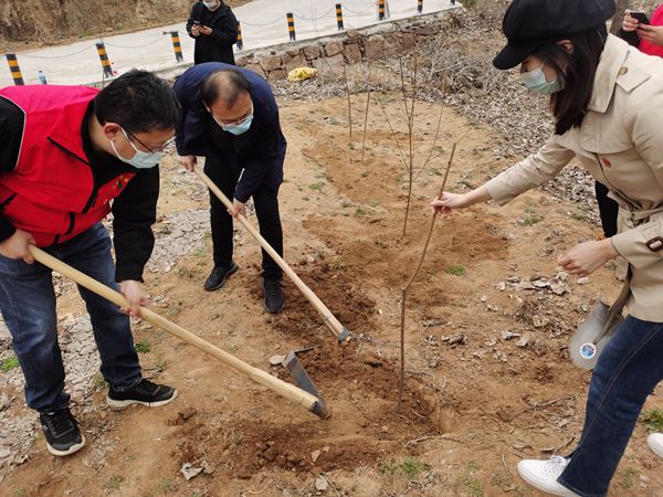 1656380951928453.jpg 02.jpg